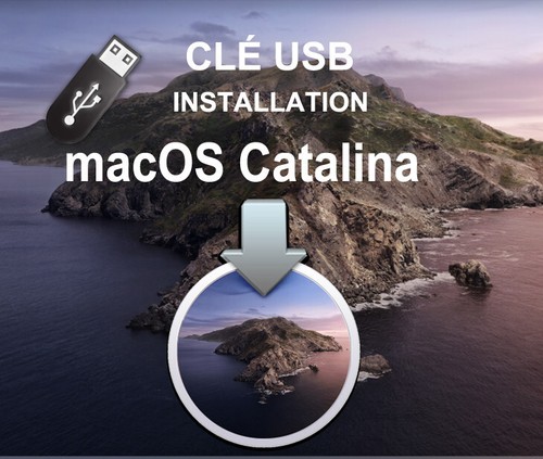 Usb macos installer catalina - macos,