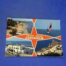 SALUTI DALLE CONCHIGLIE A COLORI -- CARTOLINA