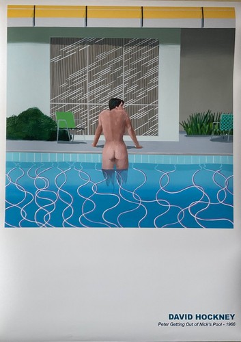 David hockney picasso - david,
