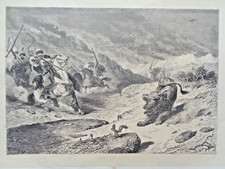 Grande Incisione Antica su