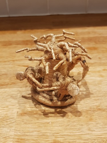 Albero baobab fibra di - di,