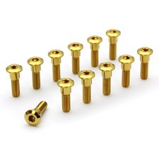 12 viti disco freno in titanio