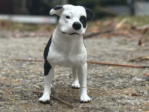 Statuina pitbull american - statuina, pitbull/american