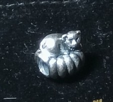 Pandora Accogliente Gatto