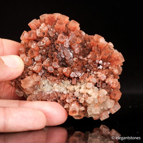 Espositore esemplare minerale