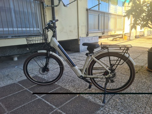 Bicicletta elettrica usata - bicicletta,