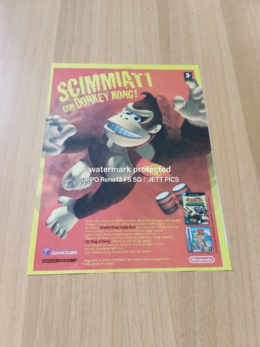 2005 donkey kong - 2005, jungle
