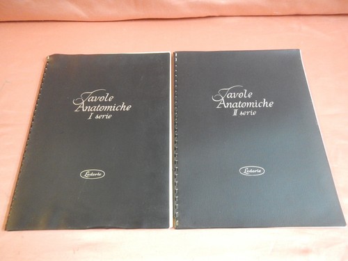Tavole anatomiche prima - tavole,
