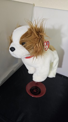 Peluche beanie buddy regal - peluche,