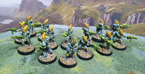 Citadel rogue trader - citadel,