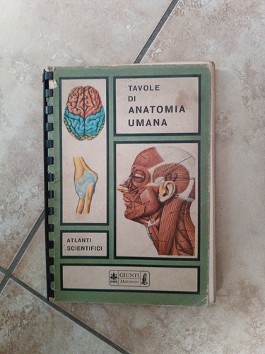 Tavole anatomia umana - di,