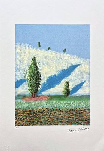 David hockney la tuta - david,