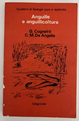 Anguille anguillicoltura - anguille,