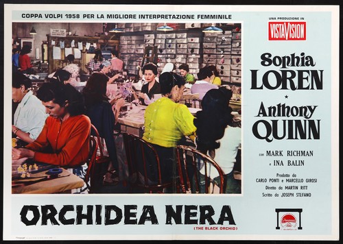 Cinema fotobusta orchidea - orchidea, nera
