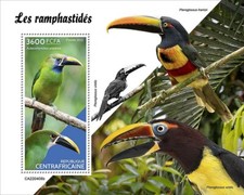 TOUCANS Toucan Tropical