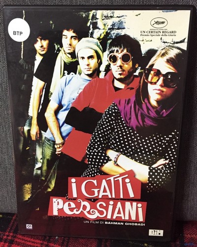 Gatti persiani dvd bahman - gatti,