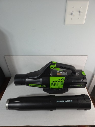 Greenworks - , (bl60l00)