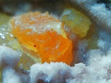 RARO SITO - ZOLFO - BOLOGNA - EMILIA ROMAGNA - ANTICO REPERTO CAMPIONE