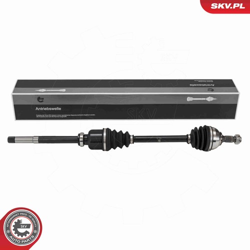 Albero motore esen skv - motore,