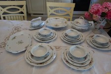 Occasione! Servizio da pranzo Rosenthal Classic Rose Sanssouci rosa muschio bianco