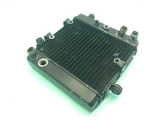 HONDA FORESIGHT 250 RADIATORE