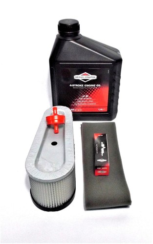 Kit manutenzione briggs - manutenzione,