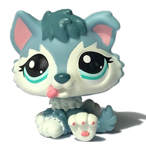 Mini pet shop siberian husky - mini,