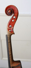 A.. Gaglianus Neapoli violino