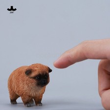 JXK 1/6 Dada La Pomerania