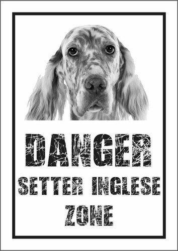 Cartello segnaletico setter - cartello,