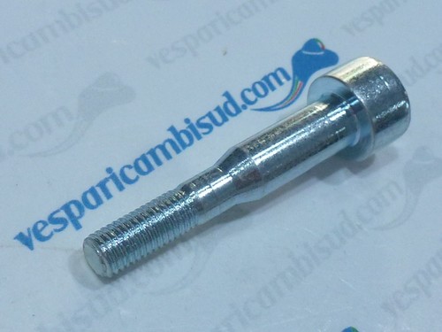 Vite fissaggio carburatore - vite,