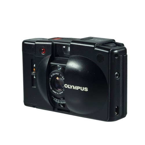 Olympus flash - 2,