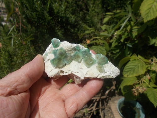 Minerali c28 fluorite - minerali,