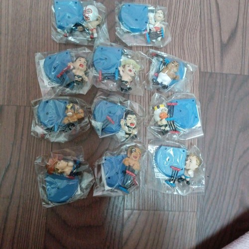 Pro wrestling wrestler set - pro,