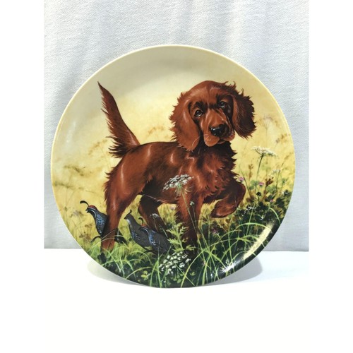 Piatto collezione knowles - piatto, da