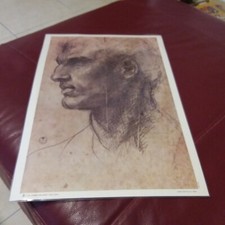 STAMPA ANDREA DEL SARTO TESTA UOMO EDIZIONI D' ARTE NOVA LUX FIRENZE CM.50XCM.30
