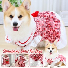 Vestito Fragola per Cani Plaid