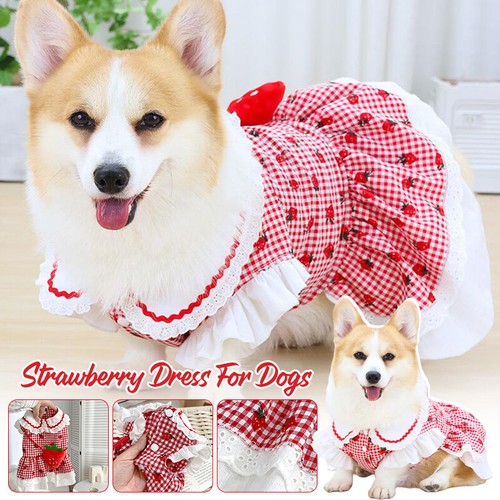 Vestito fragola per - vestito, plaid