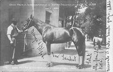 C4538) IPPICA 1903 CAVALLO AMA 2 GRAN PREMIO INTERNAZIONALE E ROTTER ITALIANO VG