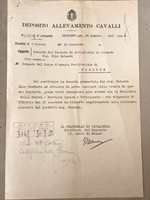 Documento deposito allevamento cavalli Grosseto regio esercito 1932