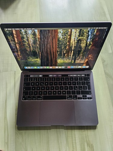 Apple macbook pro - 13,3", (apple