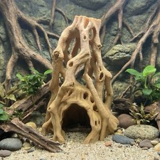 Acquario Terrario Grotta Alta