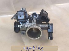 corps de papillons pour