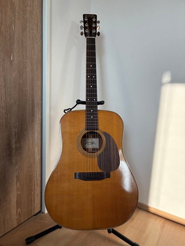 Tokai humming bird - bird, custom