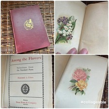 Among the Flowers: Standard