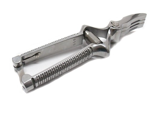 Masticatore delfiero - masticatore, in