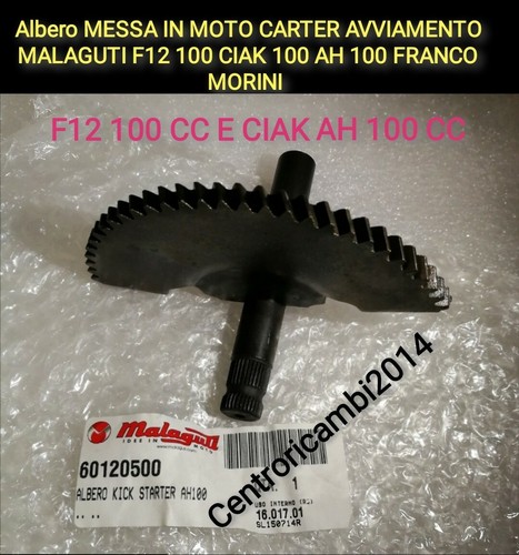 Albero messa moto carter - in,