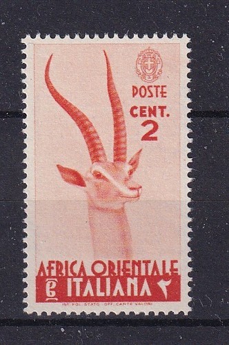 Regno colonie africa - regno,