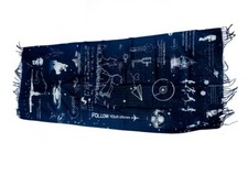 Isiderio pashmina sciarpa