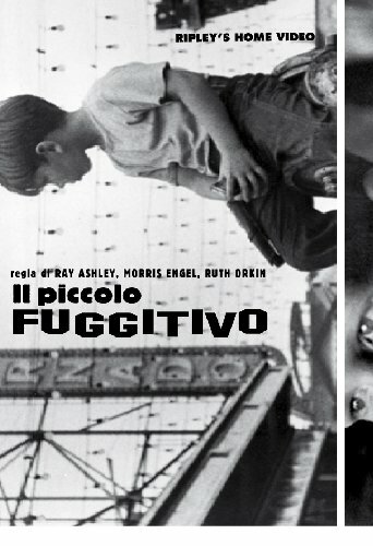 Piccolo fuggitivo dvd rhv - piccolo,